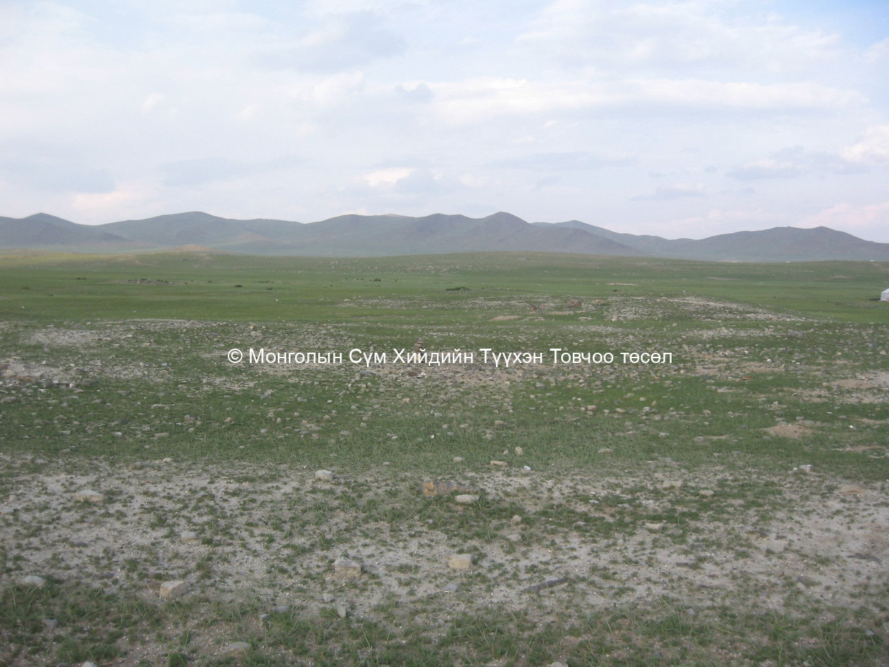 Баруун талаас авсан